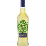 Scavi & Ray Limoncello