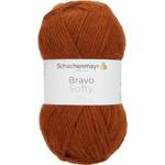 Schachenmayr Bravo Softy