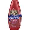 Color Glanz Shampoo von Schauma