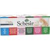Katzenfutter nass Multipack von Schesir