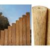 Schilfrohrmatten Premium Beach 12116 VX12116 von bambus-discount.com