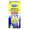 3109430 von Scholl