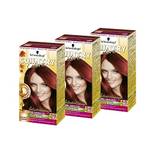 Schwarzkopf Country Colors Grand Canyon Granatrot
