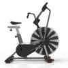 Airdyne AD8 von Schwinn