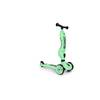 2-in-1 Kickboard von Scoot and Ride