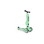Scoot and Ride 2-in-1 Kickboard