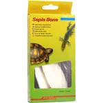 Lucky Reptile Sepia Bone