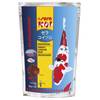 Koi Professional Winterfutter von Sera