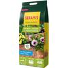 734435 von Seramis