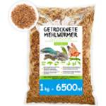 SHF-Natur Mehlwürmer