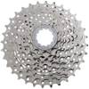 CS-HG50-8 11-34 von SHIMANO