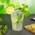 Cocktailbecher von Silverkitchen