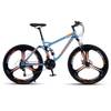 MTB Dirt Bike von SKIHOT
