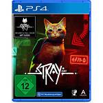 Skybound Stray