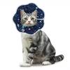 Halskrause Katze von SLSON
