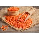 SoleilFOOD Rote Linsen