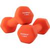 Hanteln 4 kg von SONGMICS
