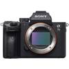 Alpha 7 III von Sony