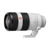 FE 100-400mm f/4.5-5.6 GM OSS von Sony