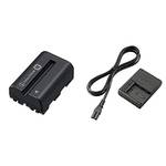 Sony NPFM500H.CE
