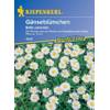 Blumensamen Wiesen-Gänseblümchen von Sperli