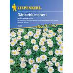 Sperli Blumensamen Wiesen-Gänseblümchen