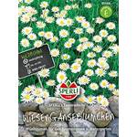 Sperli Wiesen-Gänseblümchen 