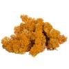 Islandmoos von sphagnum-shop.com