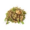 Sphagnum-Moos von sphagnum-shop.com