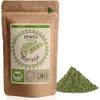 Moringa Pulver von SPINTZ