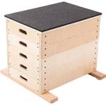 Sport-Thieme Sprungkrafttrainer
