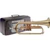 WS-FH215S von Stagg