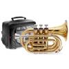 WS-TR245S von Stagg