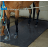 GW3006 von Floordirekt