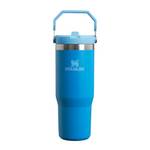 Stanley Flip Straw Tumbler 1.0