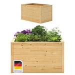 Steelson Theemin Hochbeet