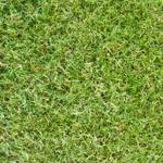 Steffensmeier Kunstrasen Montana