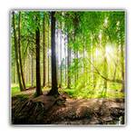 Steinfeld Heizsysteme Wald Panorama