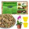 Sphagnum Moos von ‎Stingmon Trap