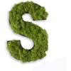 Buchstabe Islandmoos von styleGREEN