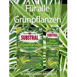 Substral Dünger-Stäbchen