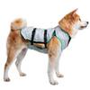 Kühlweste Hund von Suitical