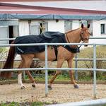 Sunride Derby