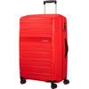 Sunside von American Tourister