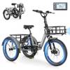 E Bike Dreirad Tk1 von Sunyrisy