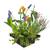 S Vd Velde Waterplanten