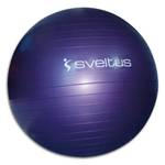 Sveltus Gymnastikball