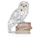 Swarovski 5585969