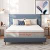 ‎SN-M01503-EU-22-180 von Sweetnight