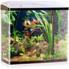 Nano-Aquarium Komplett-Set von Sweetypet